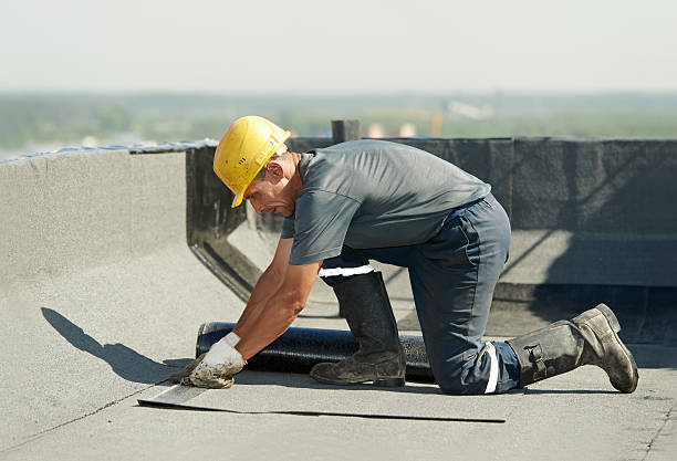 Best Eco-Friendly Insulation in Edmore, MI