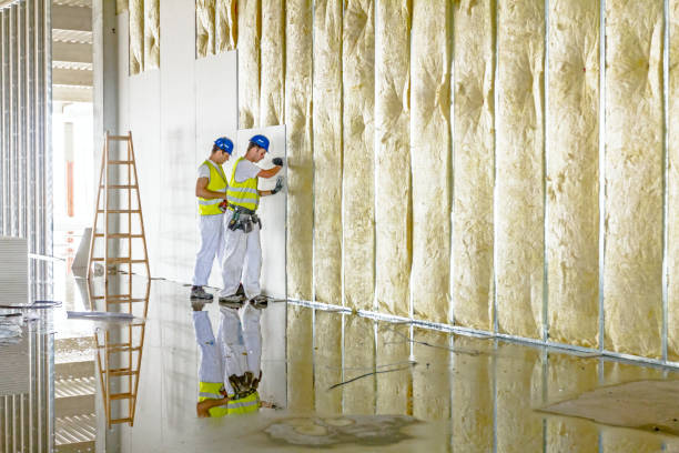 Best DIY Insulation Kits and Guidance in Edmore, MI